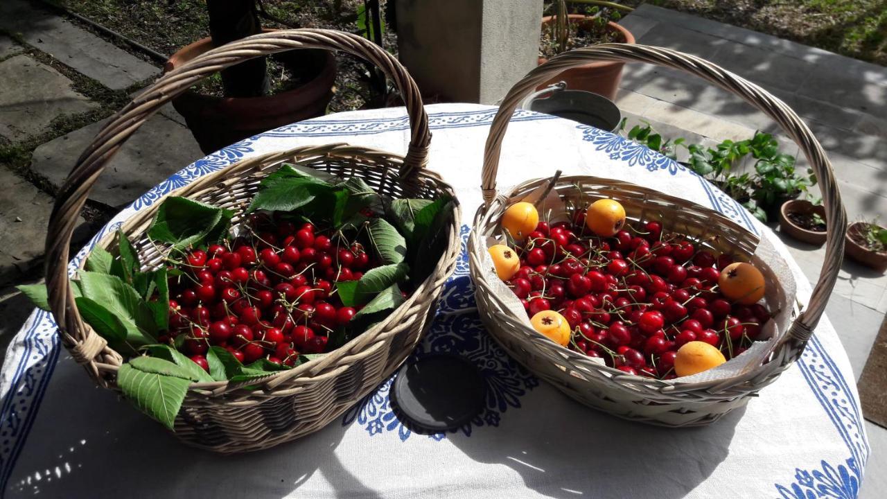 Bed and Breakfast The Italian Riviera San Salvatore  Exteriér fotografie